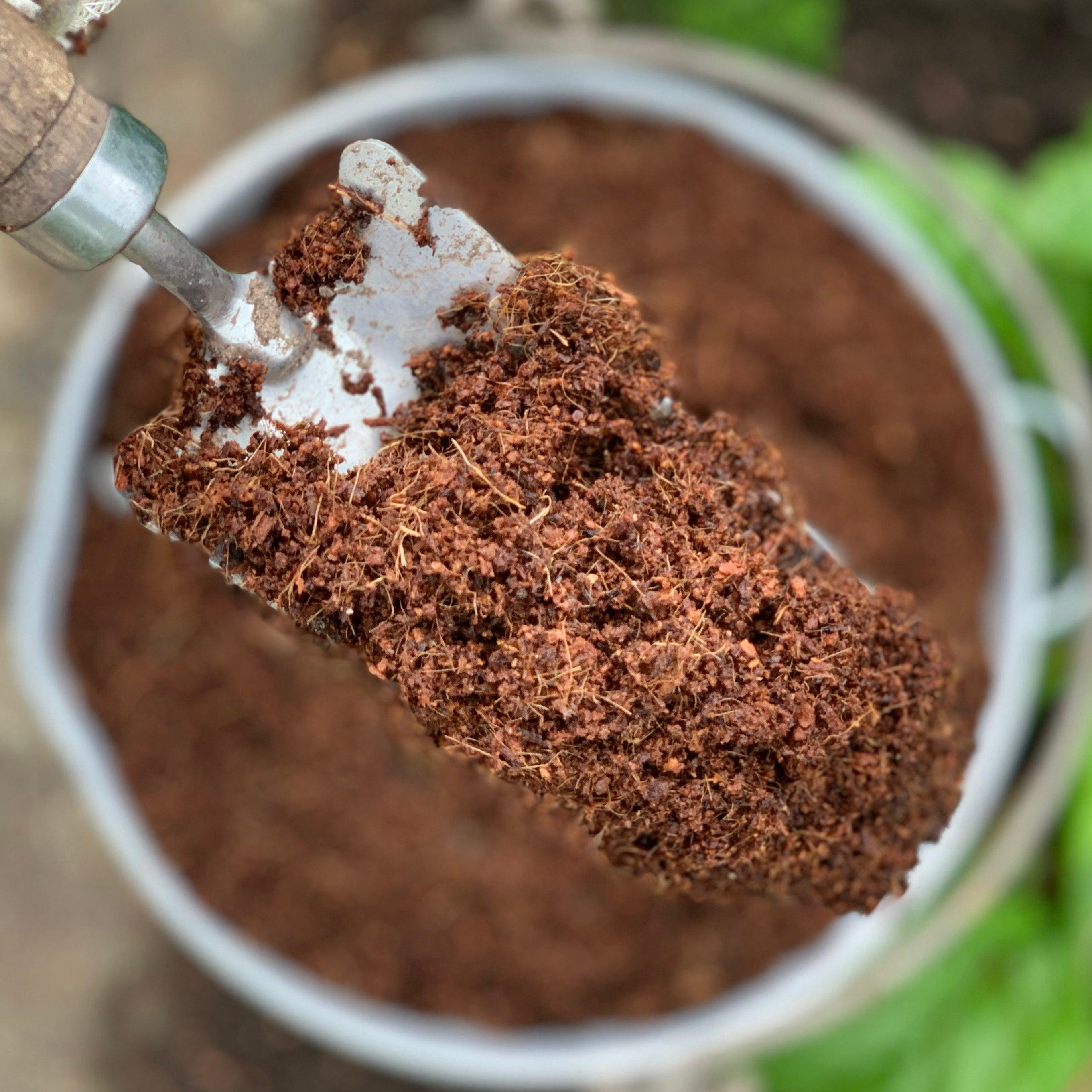 Why peat-free compost is the greenest option - for peat's sake
