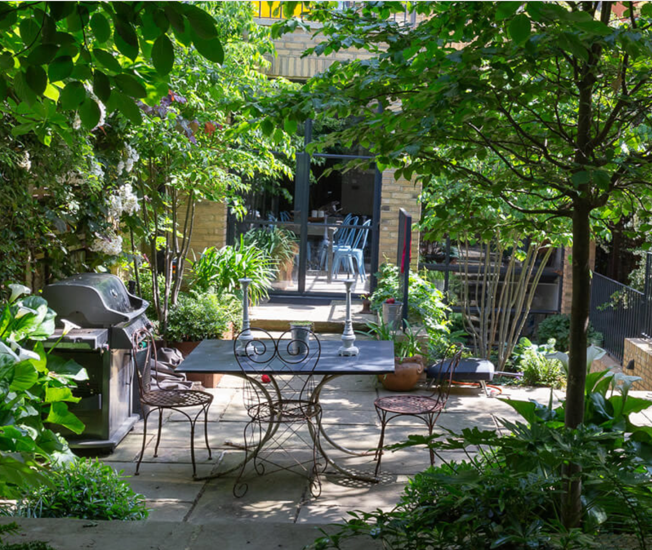 What are the best plants for a shady patio in the UK?