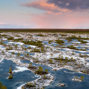 What are permafrost peatlands?
