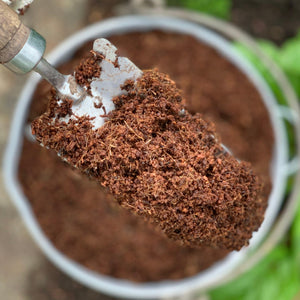 Why peat-free compost is the greenest option