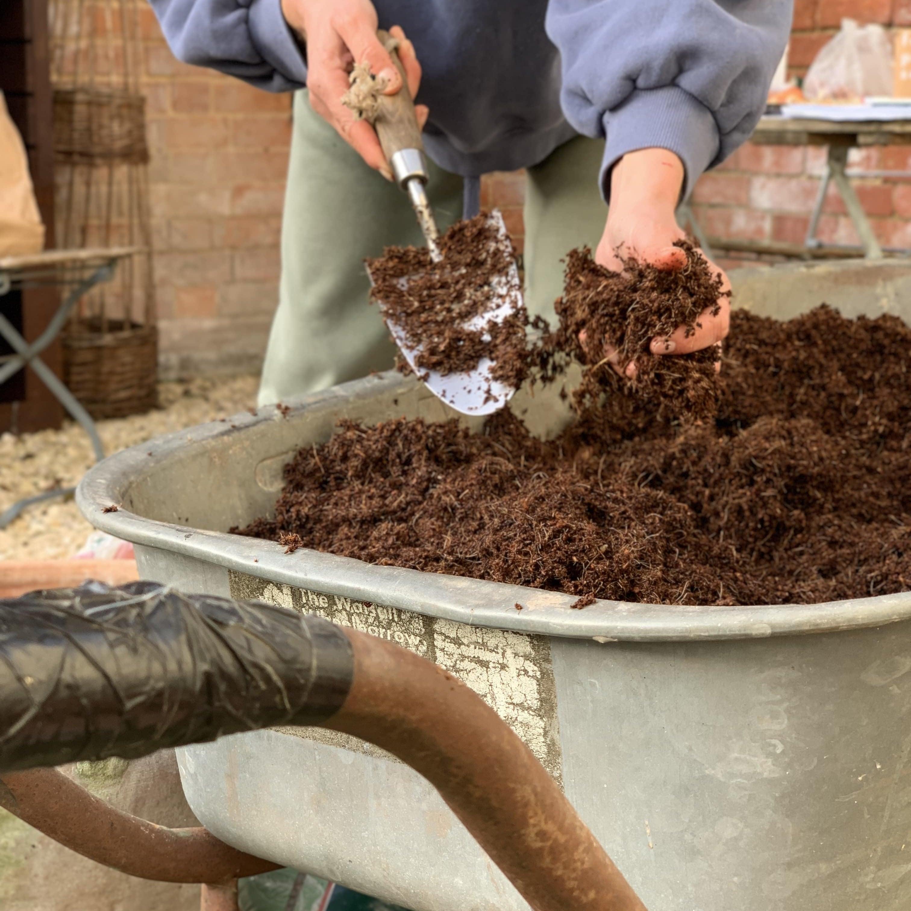 Re-using your coir compost - for peat's sake