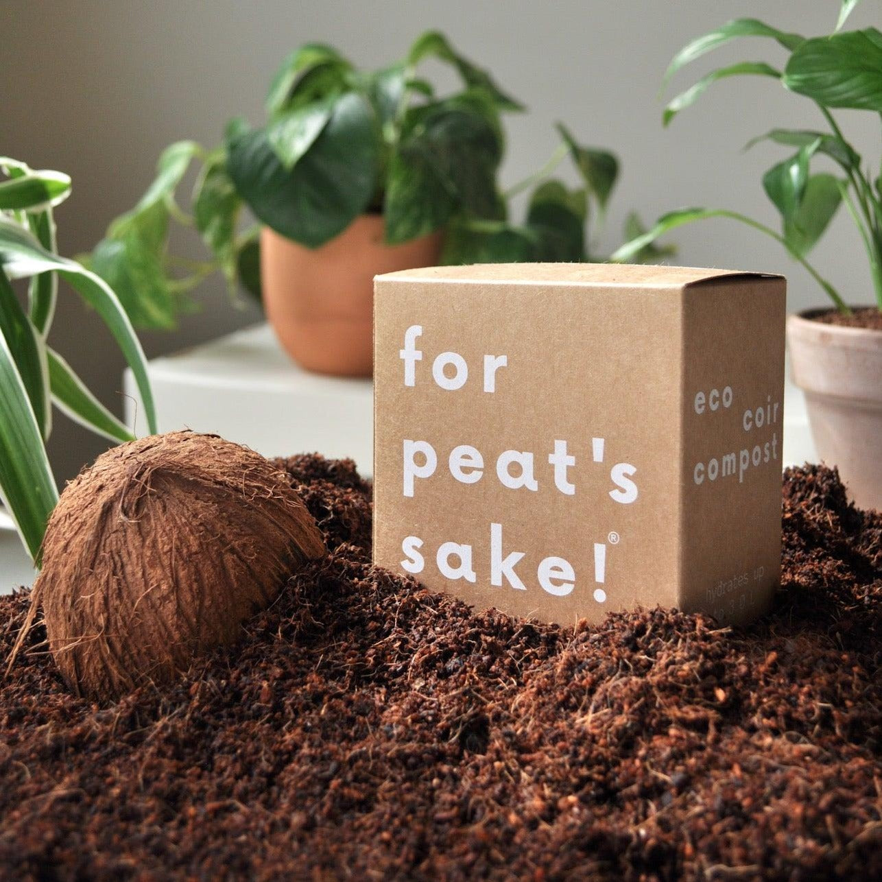 3 L PEAT-FREE COIR COMPOST - for peat's sake