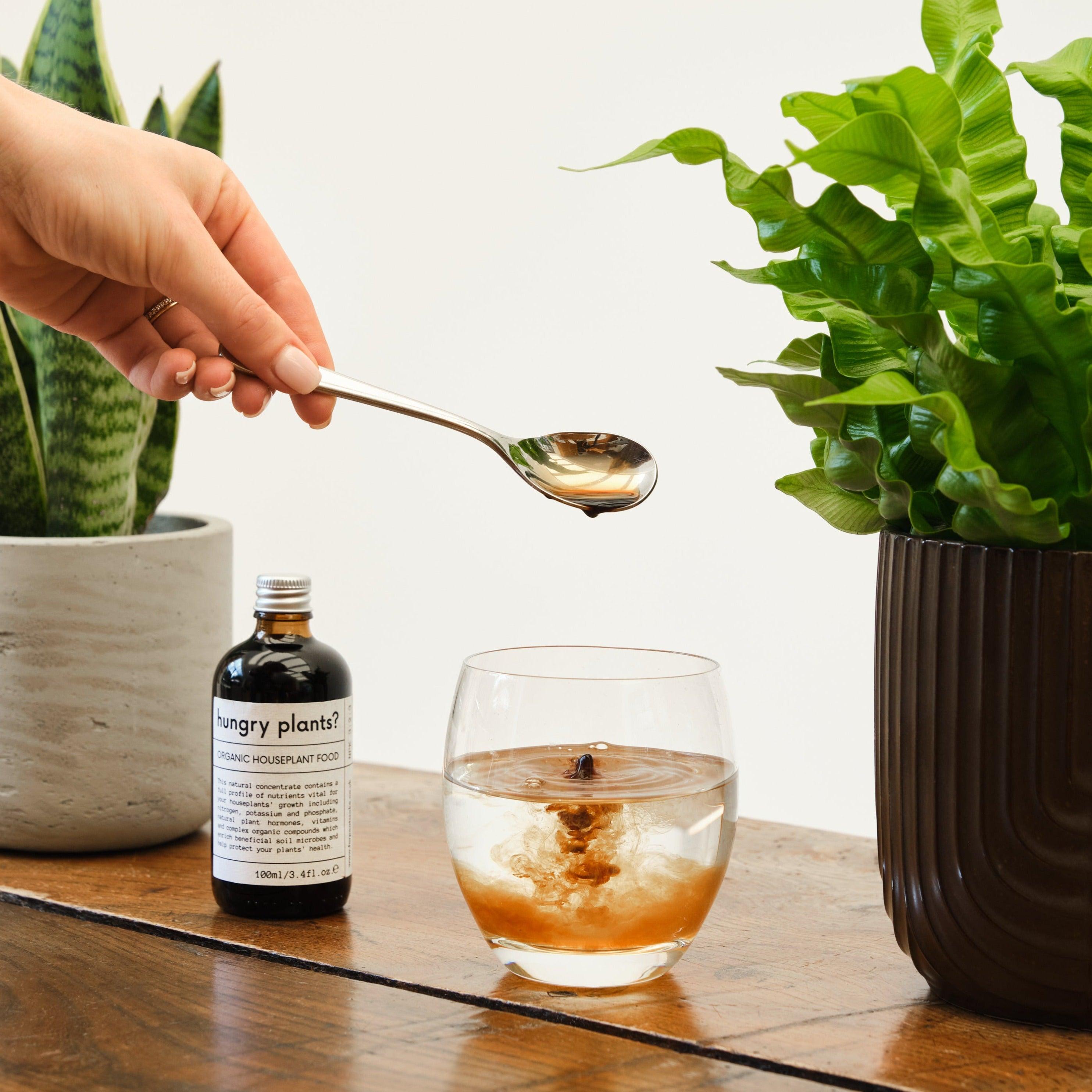 hungry plants? organic houseplant food - for peat's sake