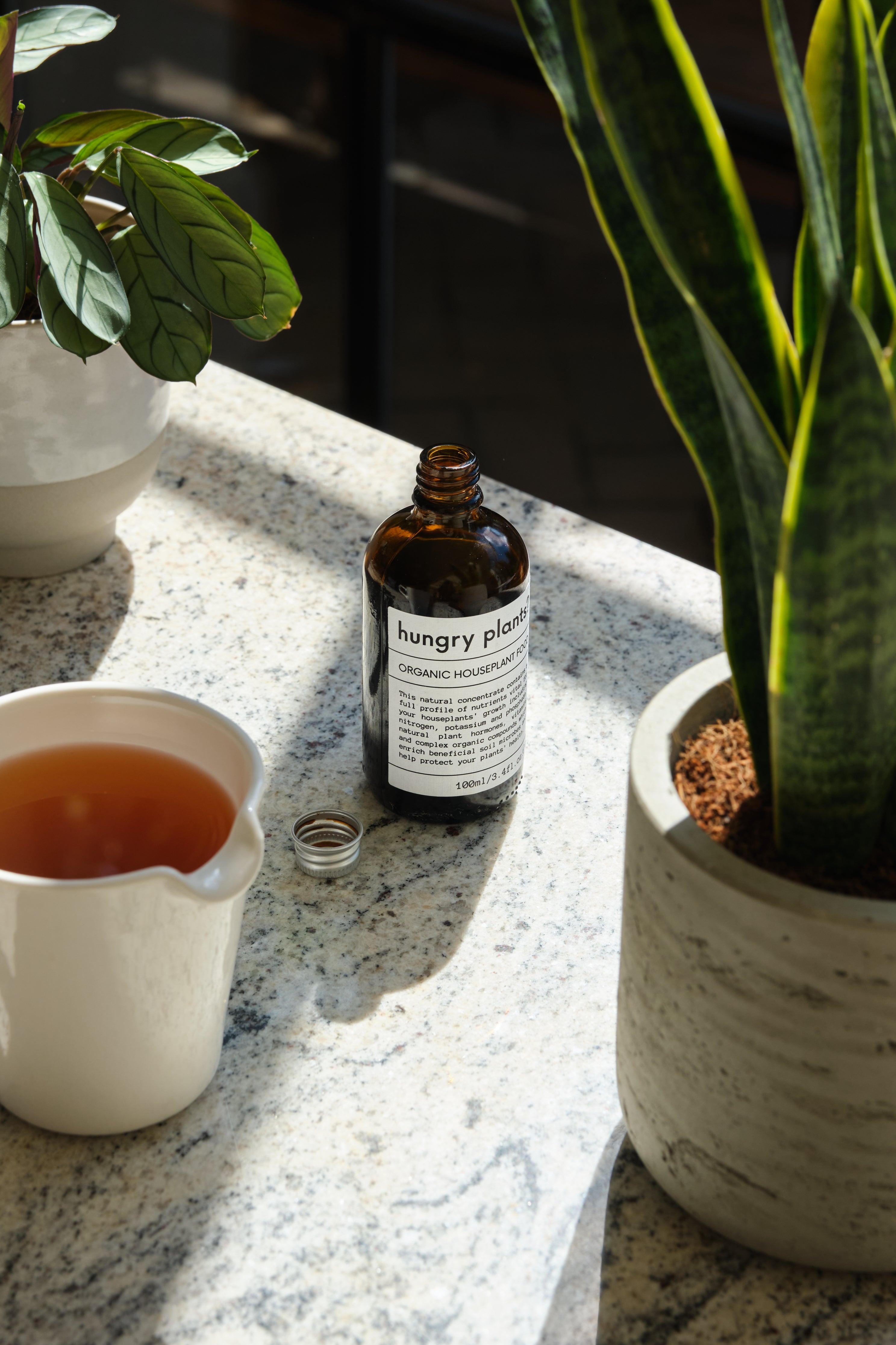hungry plants? organic houseplant food - for peat's sake