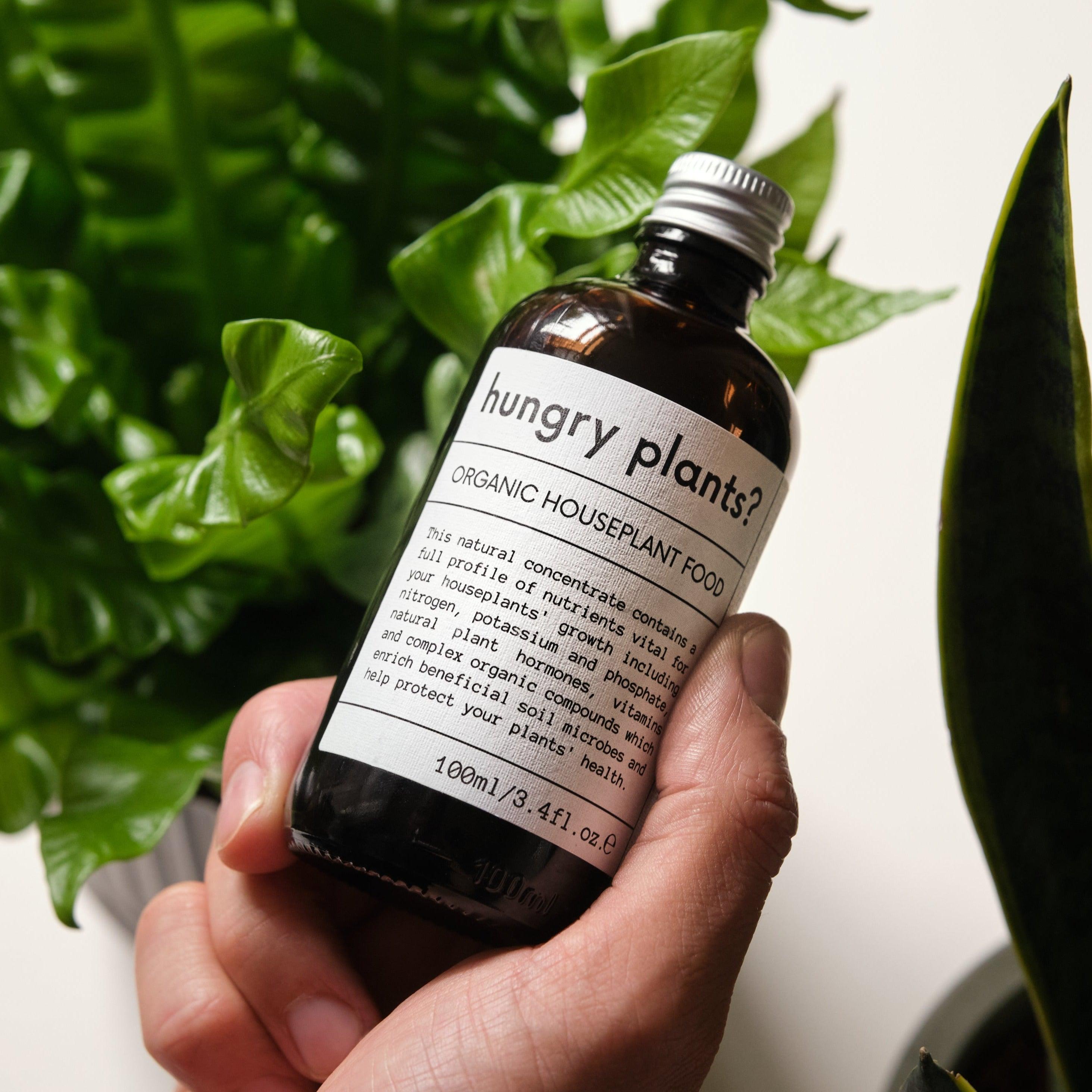 hungry plants? organic houseplant food - for peat's sake